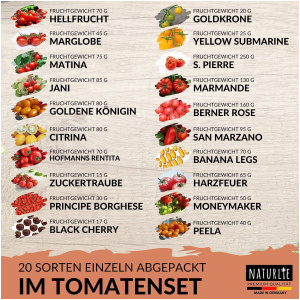 Semence / 20 variétés de graines de tomates