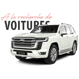 Service de Recherche Spécialisé de Véhicule Automobiles