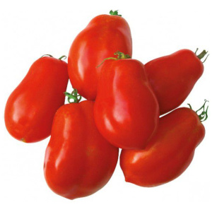 Variétés locales ou adaptées de tomates d’origine sub-saharienne